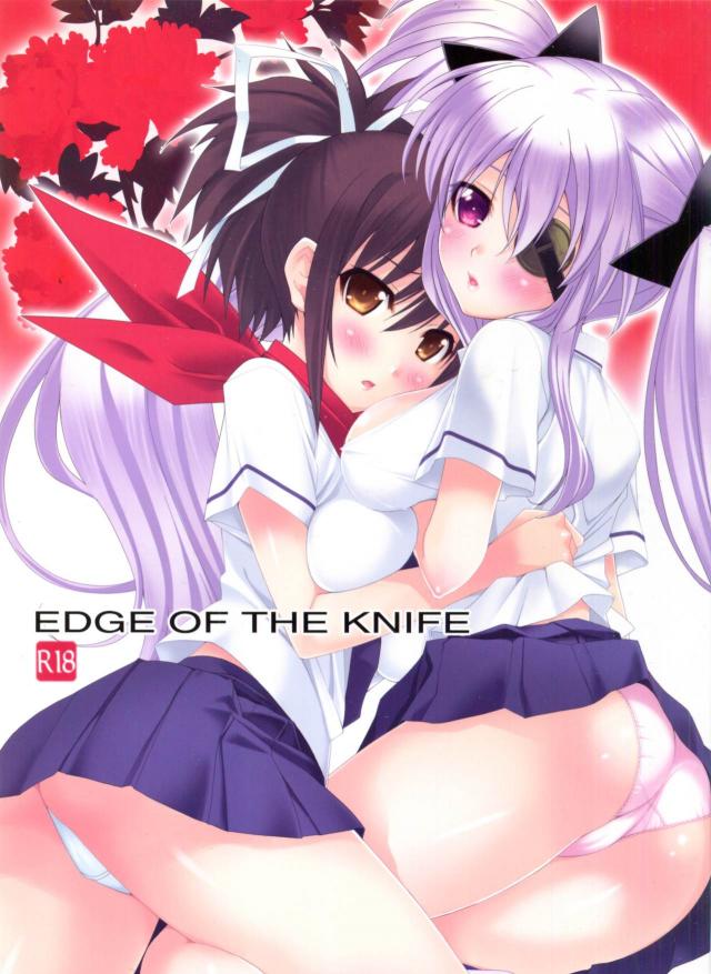 【閃乱カグラ】Edge Of The Knife【無料同人】001